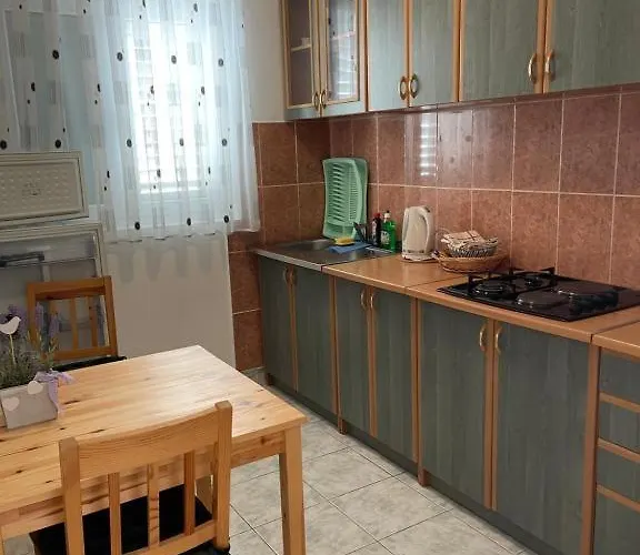 Sajska Apartment *